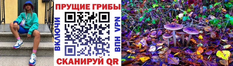 Галлюциногенные грибы мухоморы  даркнет сайт  Карасук 